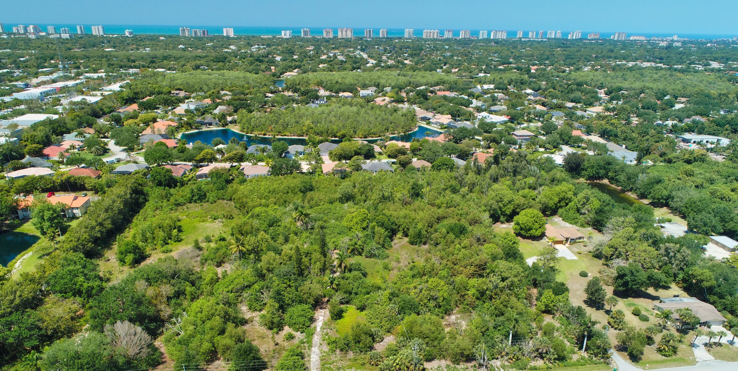 Palisades Drone Aerial