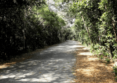 Dagny Johnson State Park