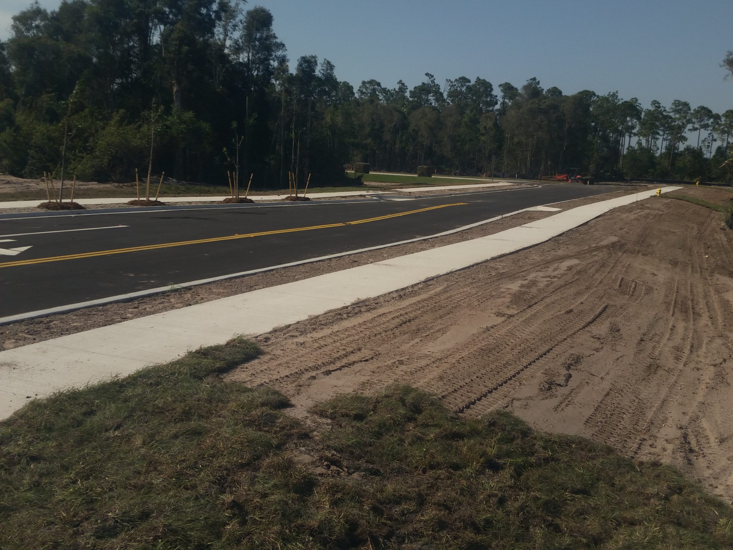 Alico Trade Center Roadway